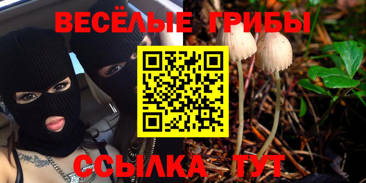 Армавир  Псилоцибиновые грибы мухоморы  Вход с VPN  Галлюциногенные грибы ЛСД 